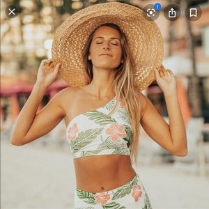 Albion Fit Hibiscus Icon Crop